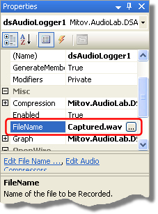 DSAudioLoggerFileName
