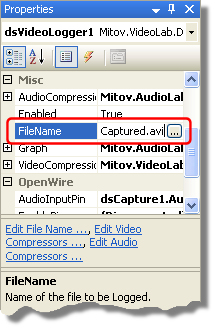 DSVideoLoggerFileName