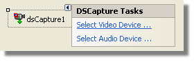 Form1DSCapture1Editors