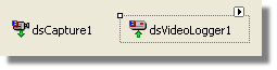 Form1DSVideoLogger1