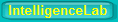 IntelligenceLab