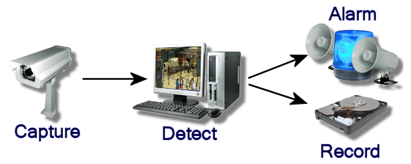 /system/imgs/21/original/DetectMotion.jpg?1311866894