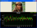 Visualize the Audio