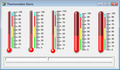 Thermometer Gauges