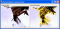 Extract Robust Features